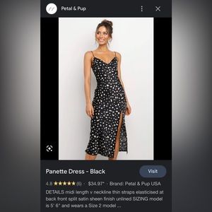 Panette Dress - Black - Petal & Pup